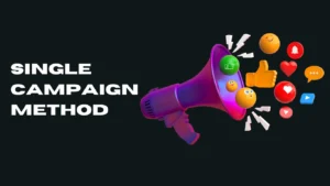 Digital marketer in Calicut analyzing campaign performance using the Single Campaign Method.